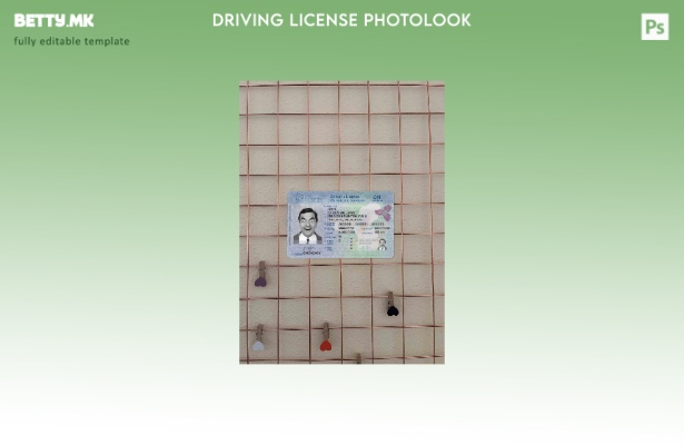 модерен стил Canada Ontario DL ( – сегашен) photolook FRONT шаблон